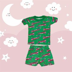 Hanna Andersson Green Pajama Set with Pink Tiger Print